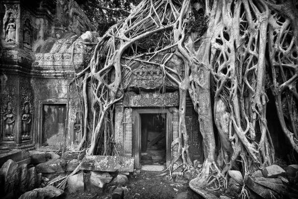 Photograph Karin De Winter Ta Prohm on One Eyeland